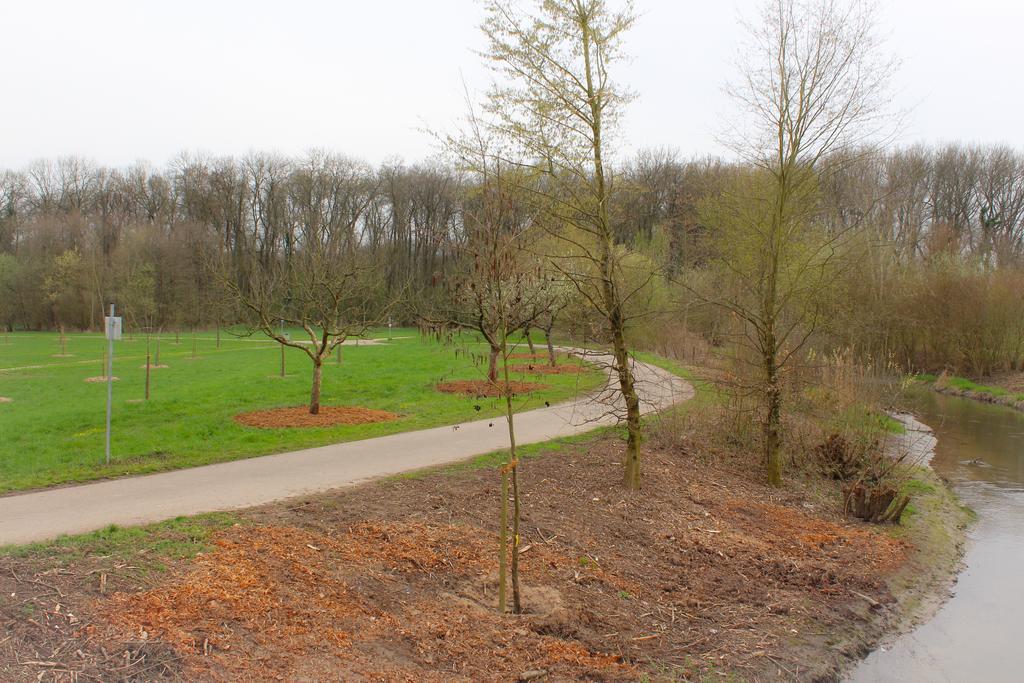 Ferienwohnung Spatzennest Kronau Exterior foto